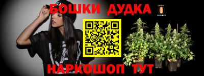 гашик Новозыбков
