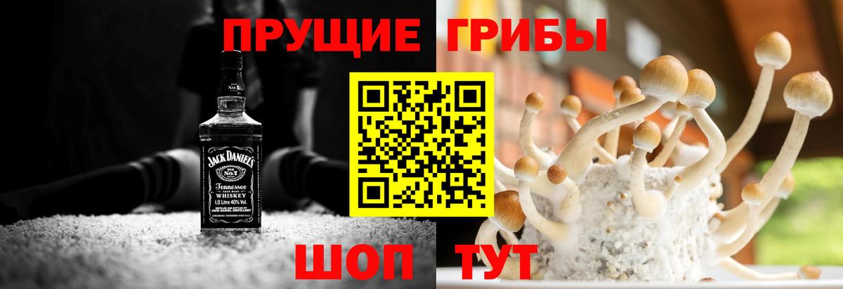 Унеча  Галлюциногенные грибы ЛСД  дарнет шоп  Вход с VPN 